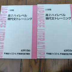 東進★高２ハイレベル現代文トレーニング★１学期２学期テキスト２冊セット