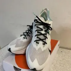 Item thumbnail for item 60688985-e0d8-4a90-992c-16bfe3521f82