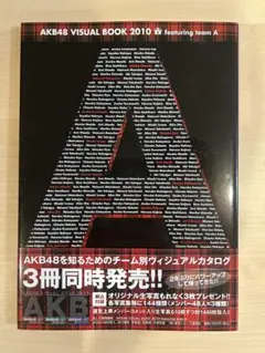AKB48 VISUAL BOOK 2010 3冊セット
