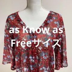 as Know as 花柄シースルーワンピース F 花柄 ファッション