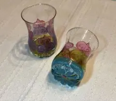 Soizick（ソイジック）フランス製 グラス 2個セット✨未使用品