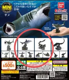 2種セット　いきもの大図鑑　ミニコレクション サメ　フィギュア　シュモクザメ