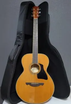 James アコースティックギター JD400 NAT 2025年最新】JD400 NATの人気アイテム - メルカリ