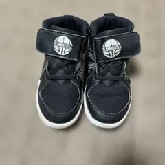 Item thumbnail for item b4f8d91a-9f06-4f08-869e-68e77237094a