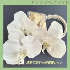 Item thumbnail for item f6ba32ce-70d3-4d52-be0f-d0dec3e8ec6d