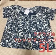 ベルーナ 6L ラグラン袖Tシャツ