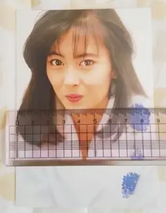 中山美穂 L判写真 No.189
