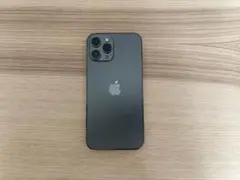 iPhone12promax