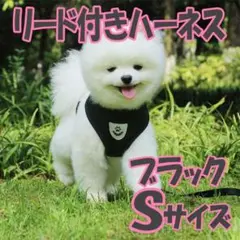 ハーネス リード付き ブラック Sサイズ お散歩 犬