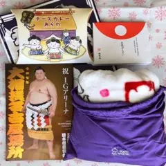 大相撲 IGアリーナ 名古屋場所 パンフレット ひざ掛け 他