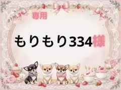 専用