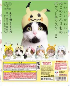 Item thumbnail for item 5c8882fb-0b4c-4c3d-8cef-df600b77a96f