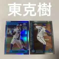 Item thumbnail for item 5a5a420c-86ed-4649-b0df-bce030de6751