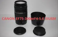 Item thumbnail for item 5de7b54a-9ff3-4ec7-8b0a-4498ea696d50