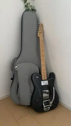Fender Telecaster Custom/ kavaborg ケース Fender Telecaster Custom/ kavaborg ケース Fender Telecaster
