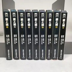 愛と誠 9冊セット (2巻抜け)　講談社漫画文庫　文庫版コミック
