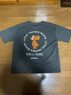 Item thumbnail for item 305f4f9d-598a-4c00-82f2-be2d1bf4baa1