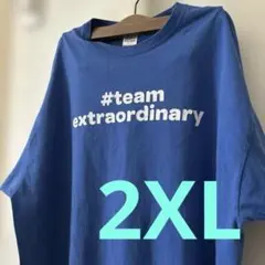 SALE！ギルダン☆Tシャツ 2XL