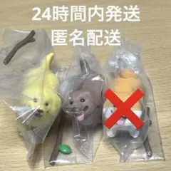 いい感じの棒をゲットした犬 ゴールデンレトリバー ダックスフンド
