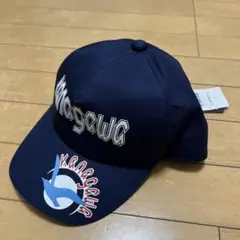 Item thumbnail for item 7527b439-d238-4320-bfa5-8a73b8e178df