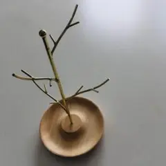 ツリー型小物入れとLEDライトセット