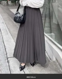 INGNI ジョーゼットポンチプリーツスカート
