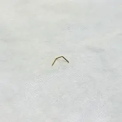 【Shihara】Post Pierce