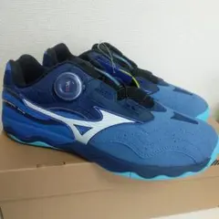 新品未使用　MIZUNO卓球シューズ ウエーブメダルSP5 　25.0ｃｍ