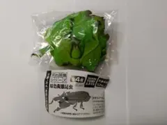 原色図鑑シリーズ オオコノハムシ