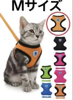 Item thumbnail for item e90bc4b5-abc5-4217-b07f-1065ca14ac10