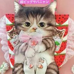 苺いっぱい　超ビッグ赤ちゃん猫と友達　コヤンイサムチョン　フリルレース