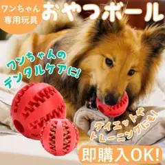 犬 おもちゃ 歯磨きボール 赤色 餌 噛むおもちゃ 壊れない おやつボール