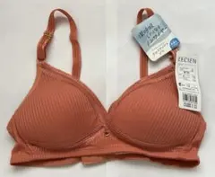 Item thumbnail for item 5a2c7c0e-6831-47b6-9935-f7331a50374f