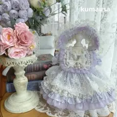 番号2347