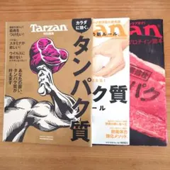 Tarzan タンパク質 特別編集