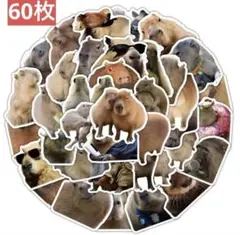 Item thumbnail for item 6d768fe7-f93f-4d37-834a-fce58db92a0d