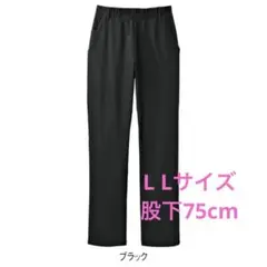 Item thumbnail for item 63b55844-6cfb-4a35-9880-b454e76dce89