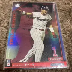 プロ野球　オーナーズリーグ　池山隆寛