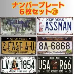 ⑳【6枚セット】アメリカン ナンバープレート ブリキ看板 USA風 ディスプレイ