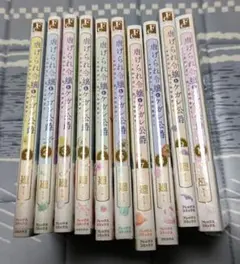 虐げられ令嬢とケガレ公爵　1〜10巻