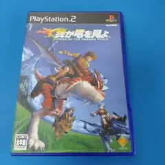 我が竜を見よ PS2ゲーム