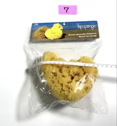 Item thumbnail for item 9eccd16c-881f-4c12-8288-9874ad0d6089