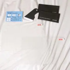 Item thumbnail for item 7e6cb172-5e49-480f-af37-4c670b8b6ca9