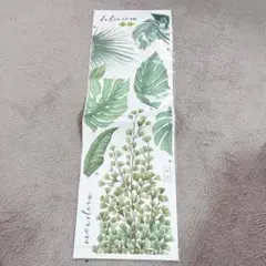 ウォールステッカー　観葉植物　葉っぱ　２枚入り