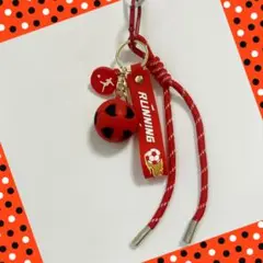 No.3012 サッカー　スポーツ　じゃらじゃらキーホルダー　パラコード