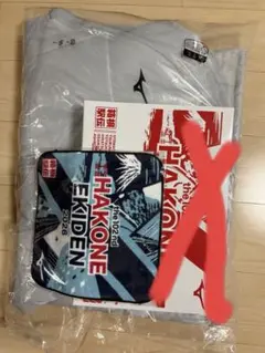 Item thumbnail for item 6e1f4579-618e-45d1-afde-abab28aee05f