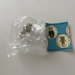 ヒグチユウコ　PUTITTO ガチャガチャ　ツチグリぼうや