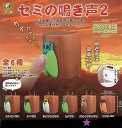 ガチャ セミの鳴き声2 (クロイワツクツク)
