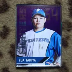 北海道日本ハムファイターズ　アクリルスクエアシール　田宮裕涼選手