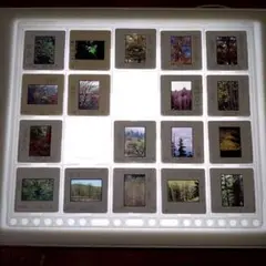 Item thumbnail for item e5ea47b5-e36c-4953-aa8b-de21ef93eeaf
